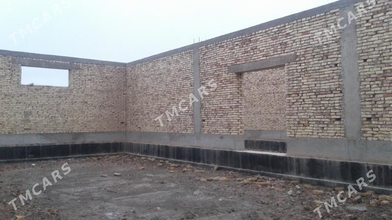 Maldarçylyk ferma - Daşoguz - img 7