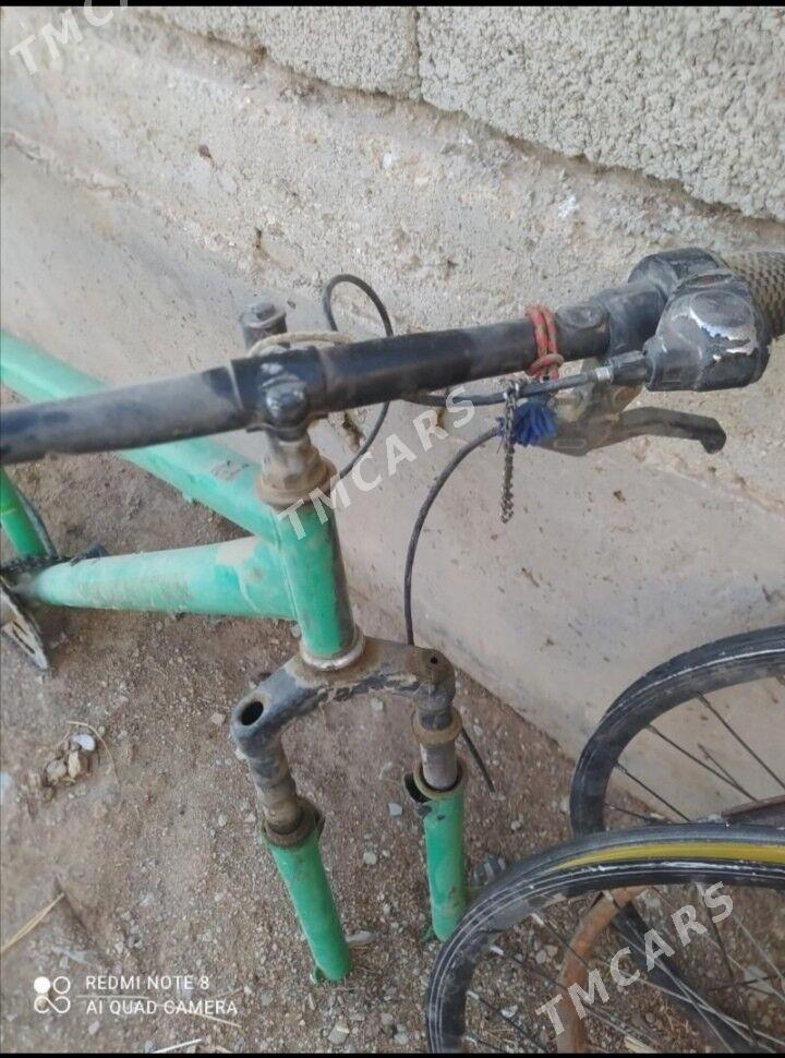 Tkm welik - Bereket - img 3
