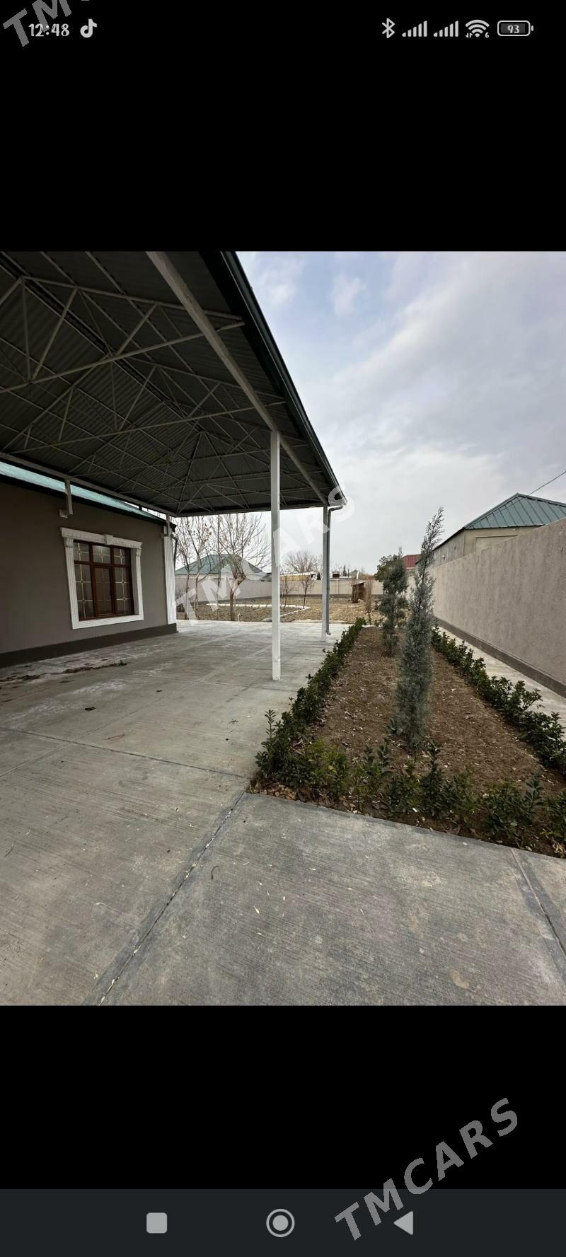 BAGYR MİREWE 12 SOTUK - Bagyr - img 2