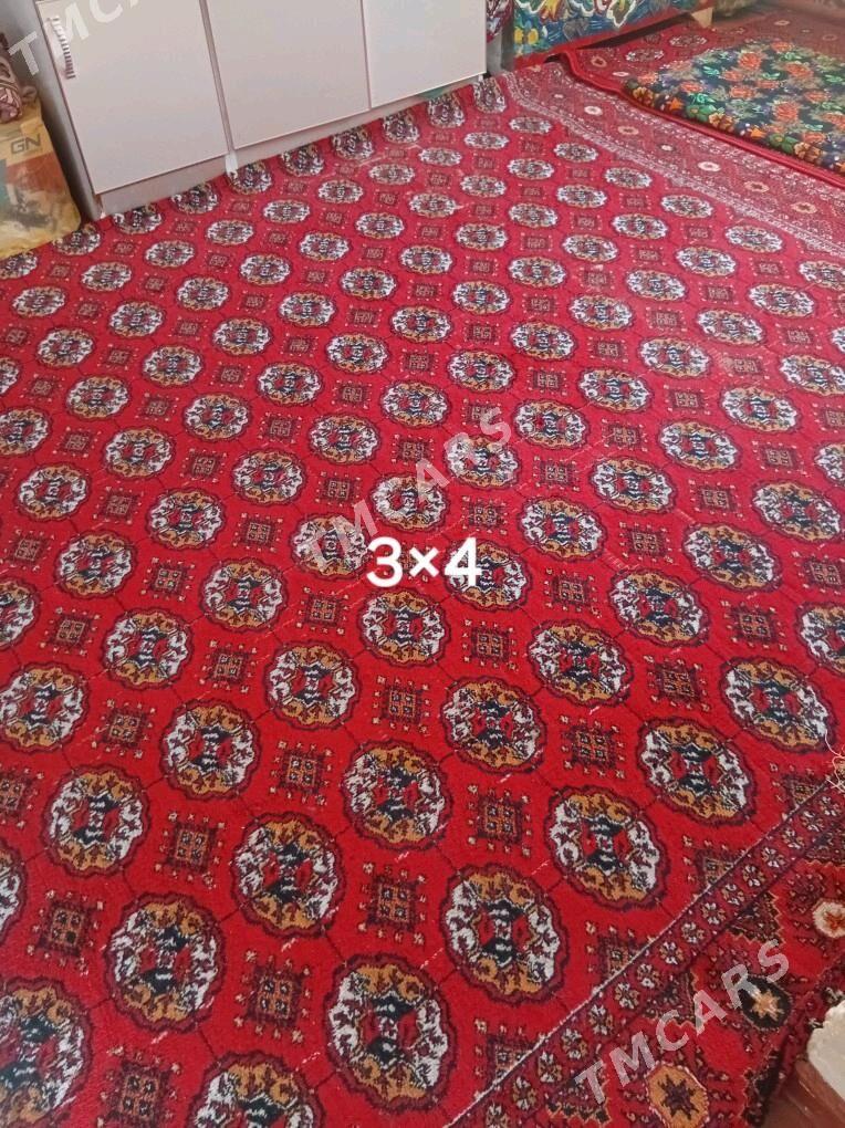 Халылар - Daşoguz - img 4
