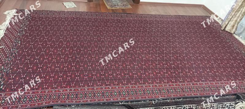 palas - Bereket - img 2