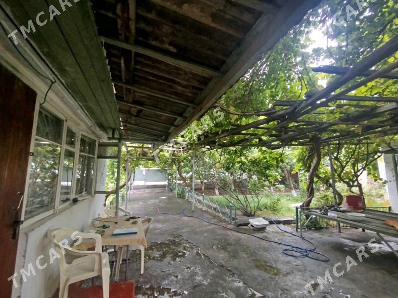 Satlyk plan Anew - Ашхабад - img 4