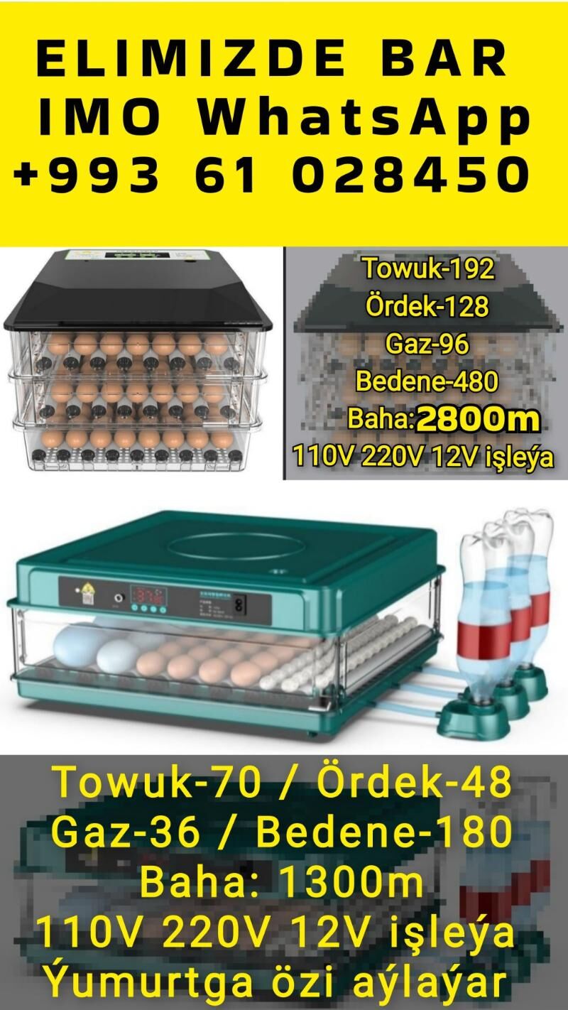 inkubator towuk jüýje horaz - Sowetskiý köç. (Garaşsyzlyk şaýoly) - img 6