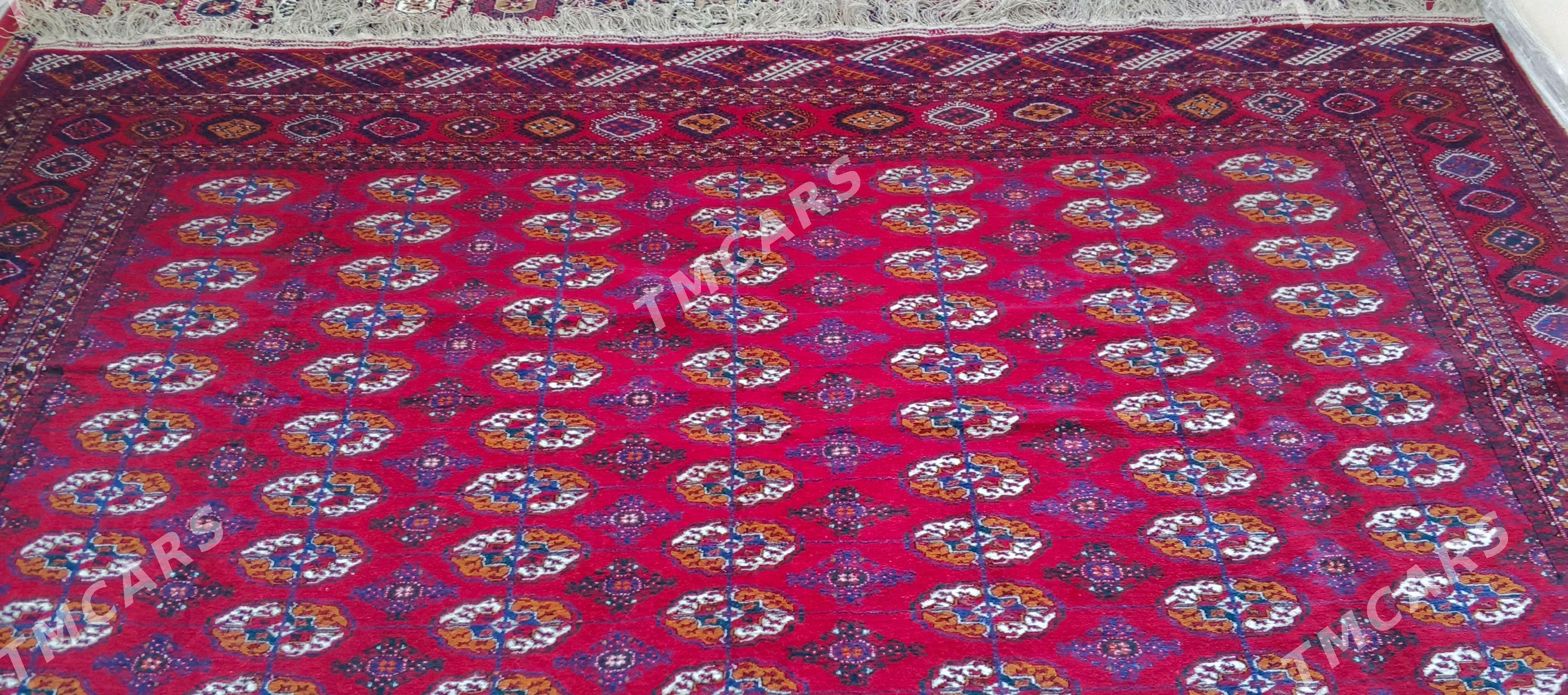 ARTEL haly - Balkanabat - img 4