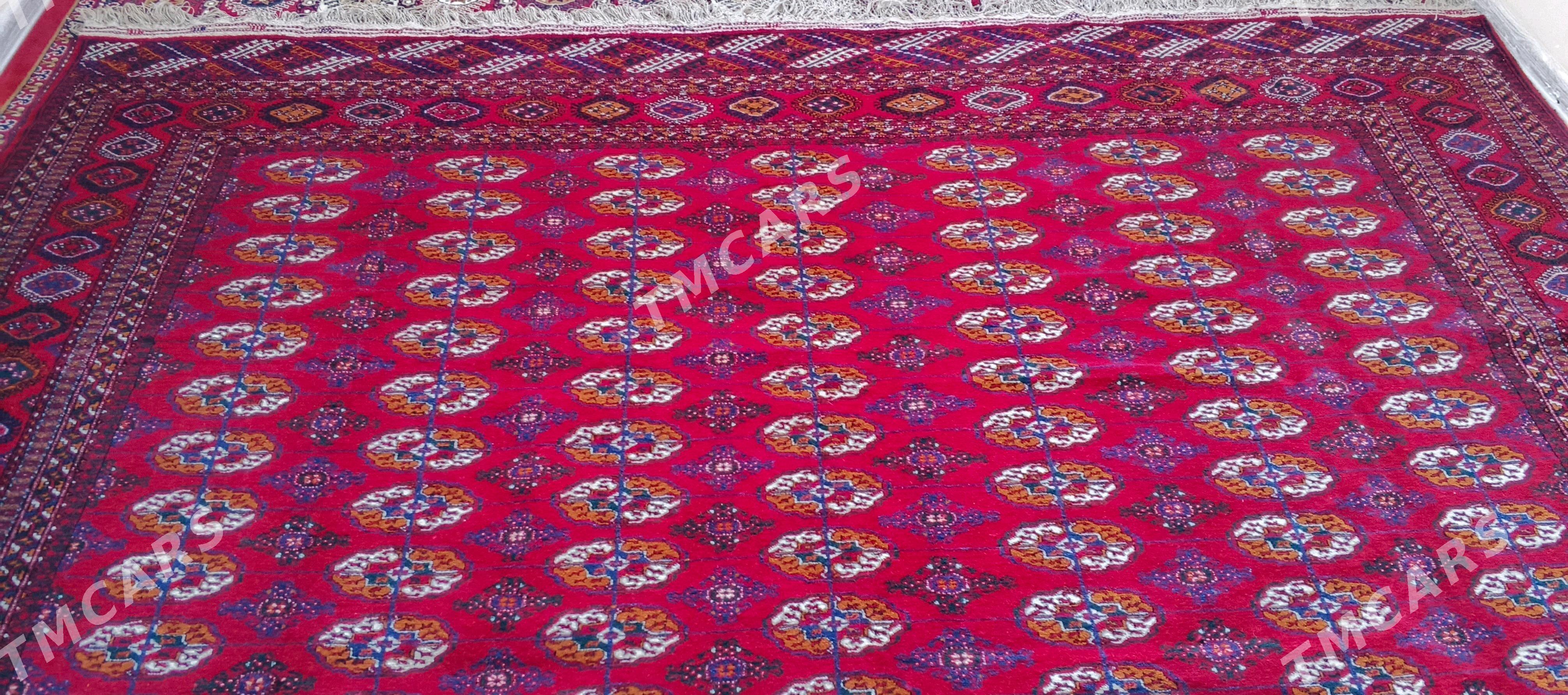 ARTEL haly - Balkanabat - img 7