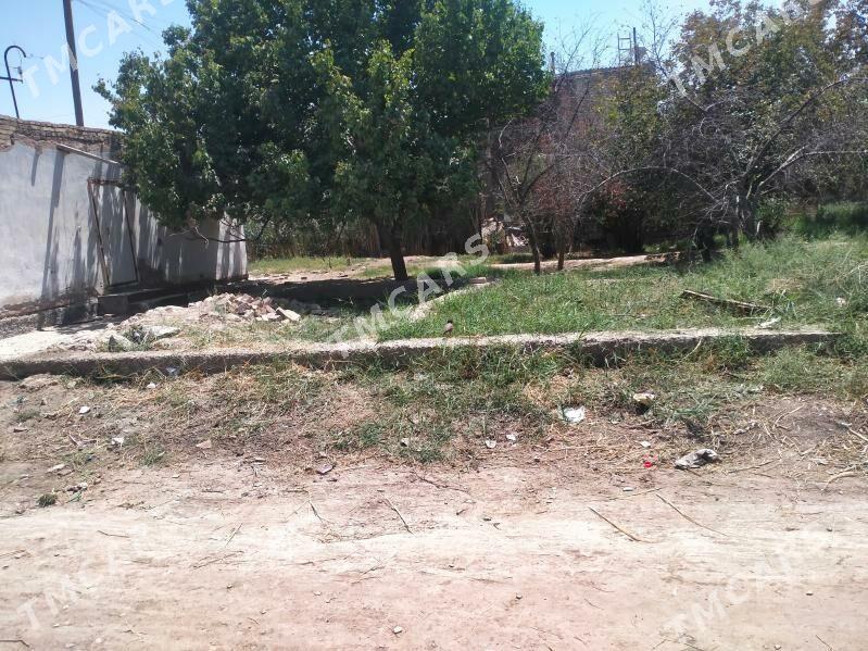 Türkmenabat satılık daça - Туркменабат - img 3