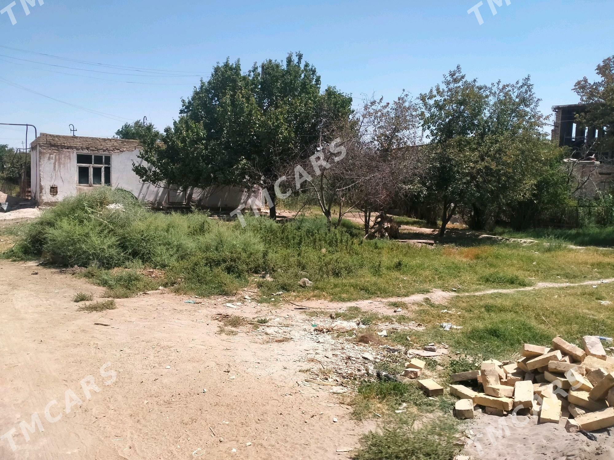 Türkmenabat satılık daça - Туркменабат - img 2