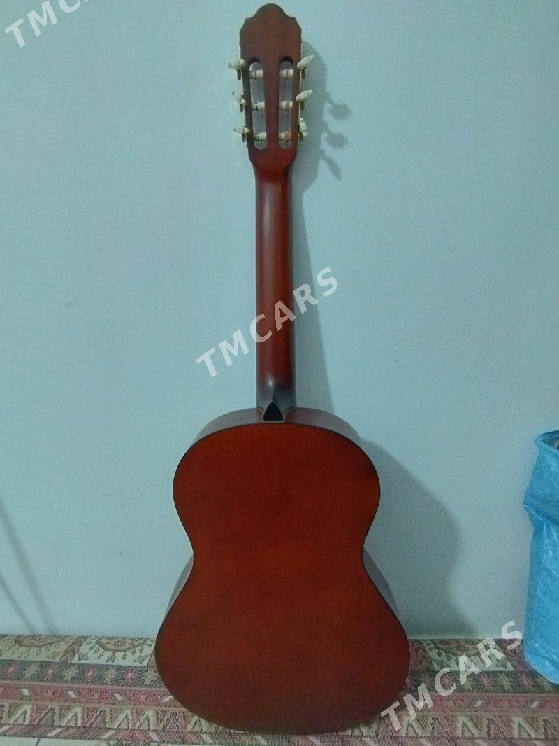 Aileen gitara - Aşgabat - img 6