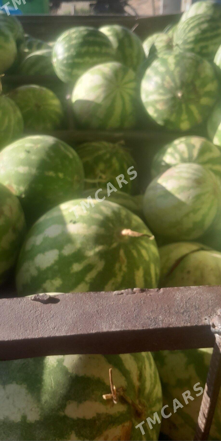 garpyz - Aşgabat - img 2