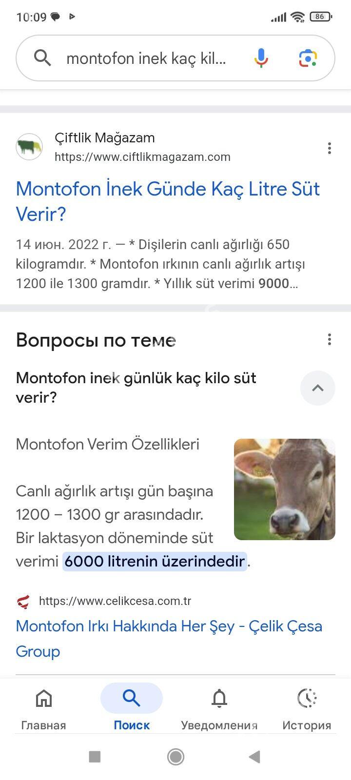 parodny mallar - Farap - img 2