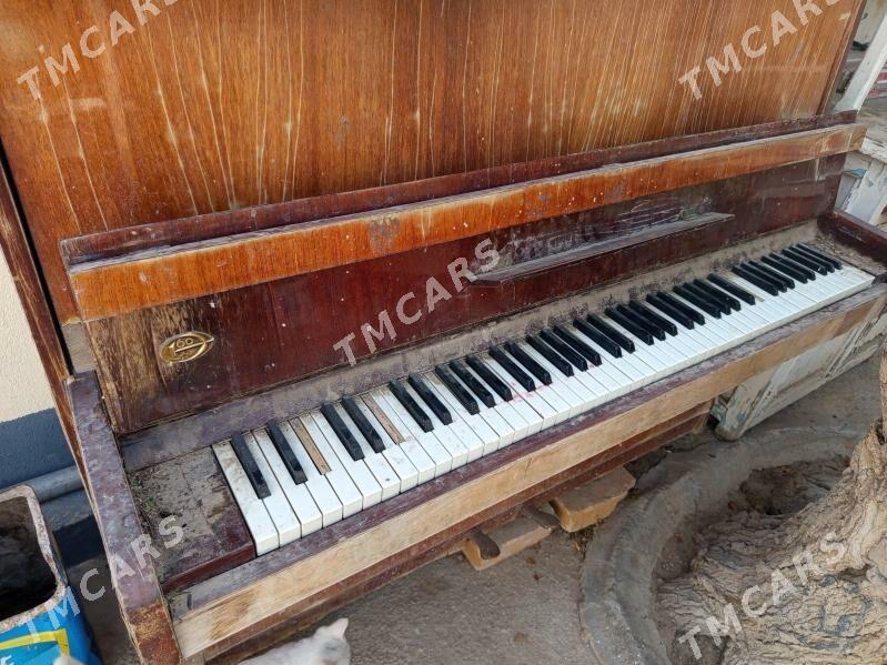 pianino - Türkmenbaşy - img 2
