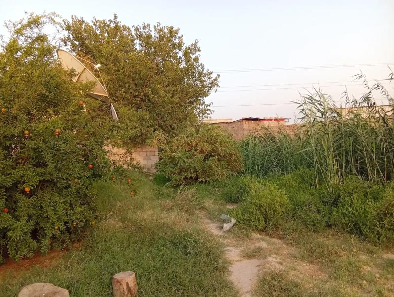 Garadamak - Garadamak - img 3