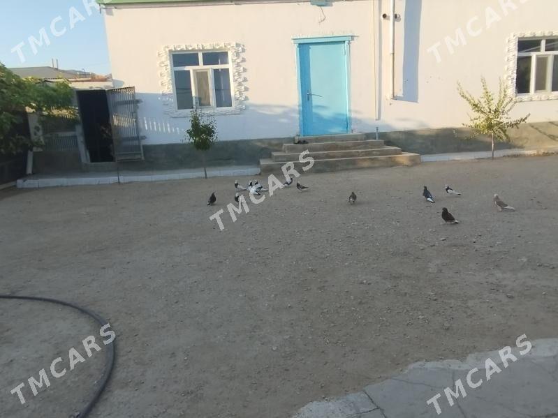 kepderi - Balkanabat - img 2