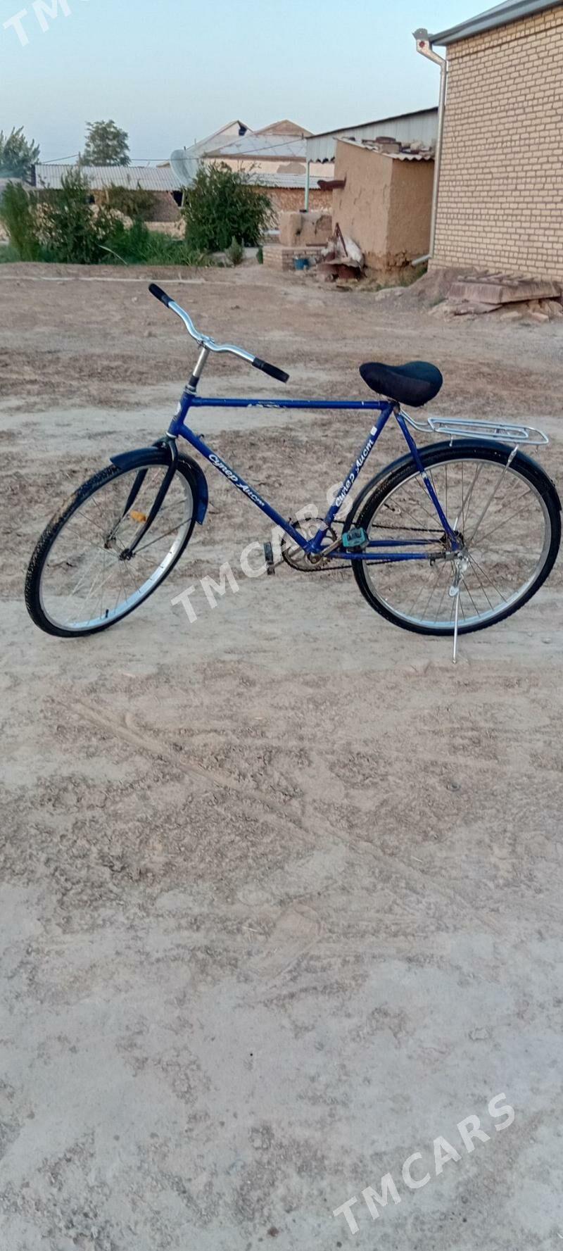 DESNA.WELIK.500.LYK - Baýramaly - img 2