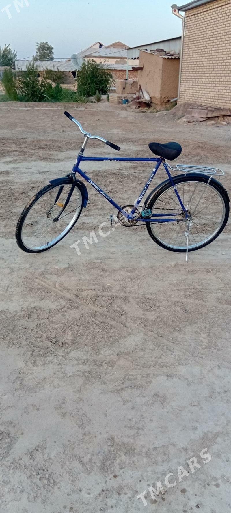 DESNA.WELIK.500.LYK - Baýramaly - img 3