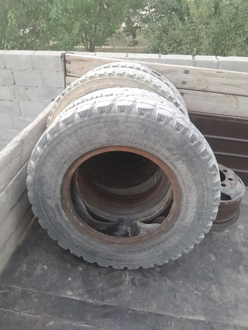 53 tekeri 3 000 TMT - Бахарден - img 2
