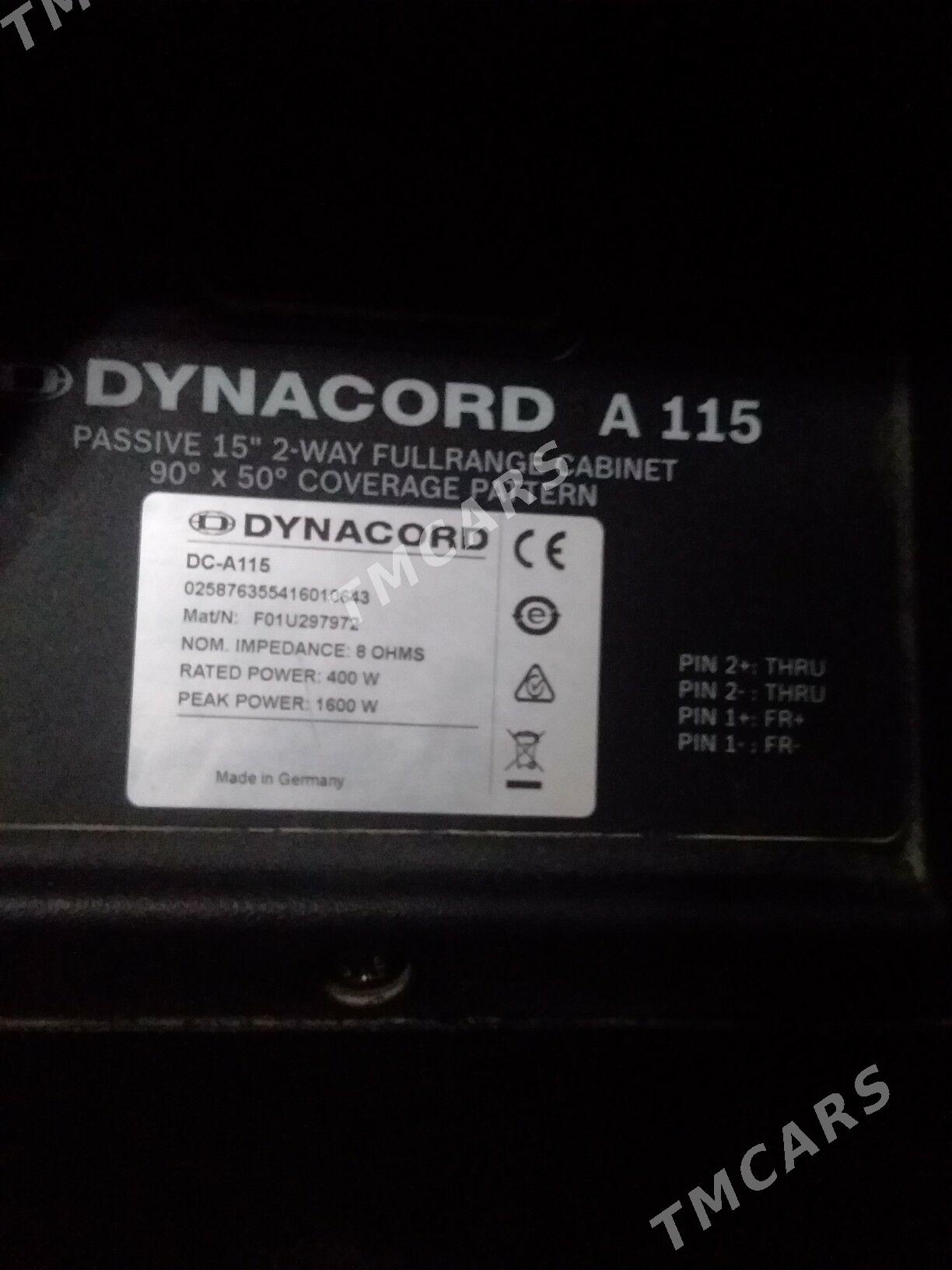 dinacord kalonka passive - Mary - img 2