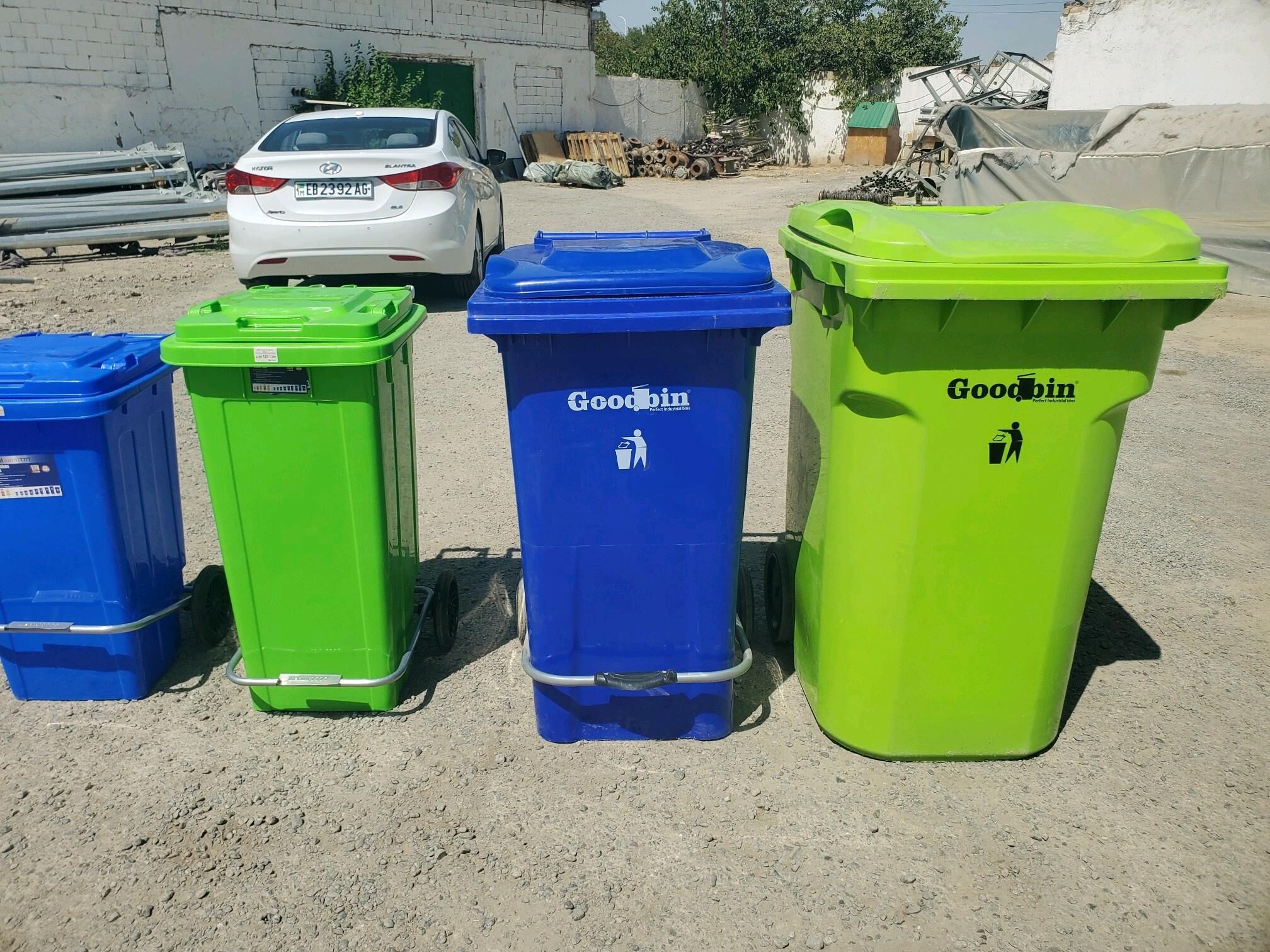 Musur bedreler - Aşgabat - img 2