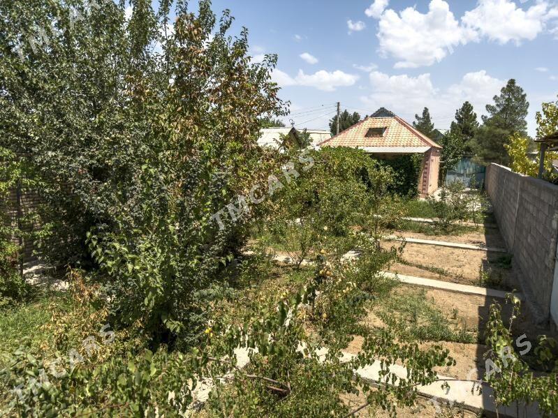 Saglyk dacada Satlyk dacha yer - Ашхабад - img 3