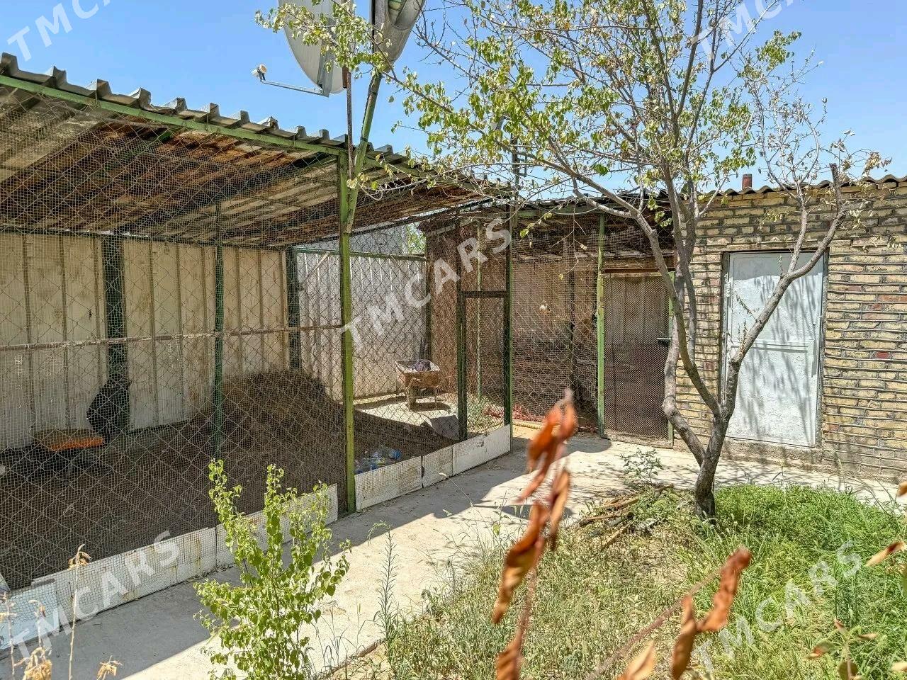 Satlyk Dacha Saglyk dacada - Ашхабад - img 9