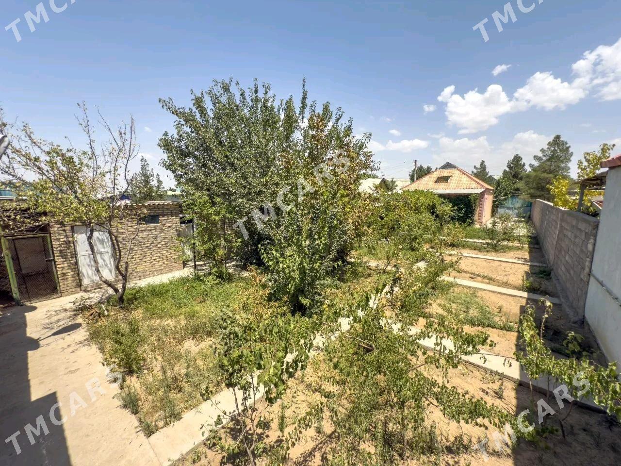 Satlyk Dacha Saglyk dacada - Ашхабад - img 7