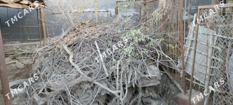 odun - Wekilbazar - img 2