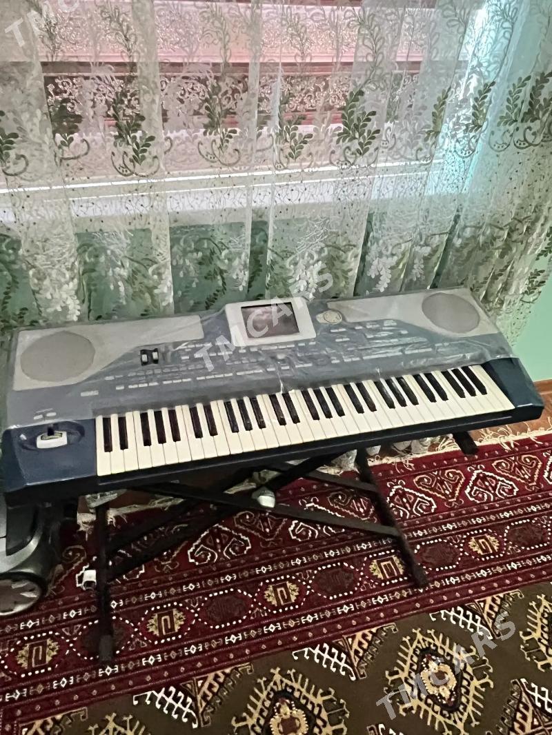 KORG PA800 - Kaka - img 2
