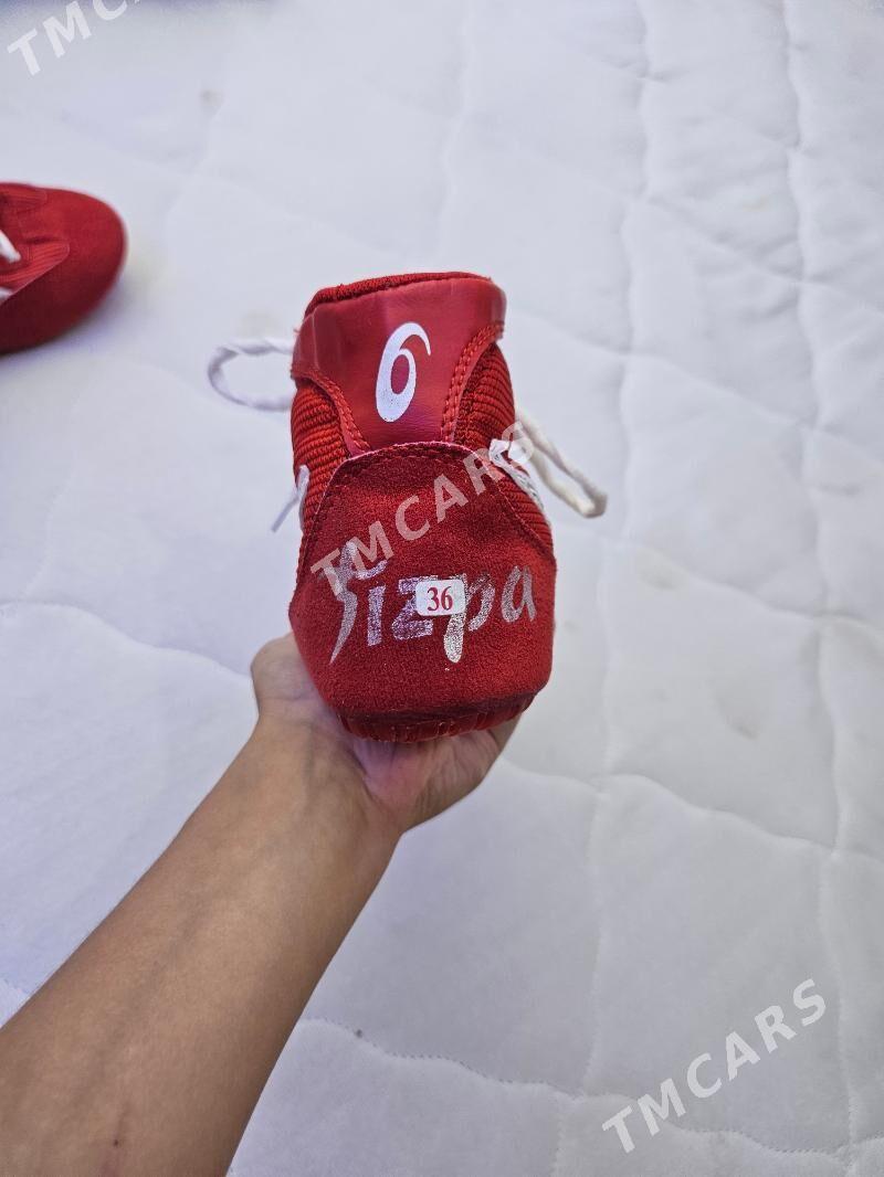 sambo barsofka - Parahat 7 - img 2