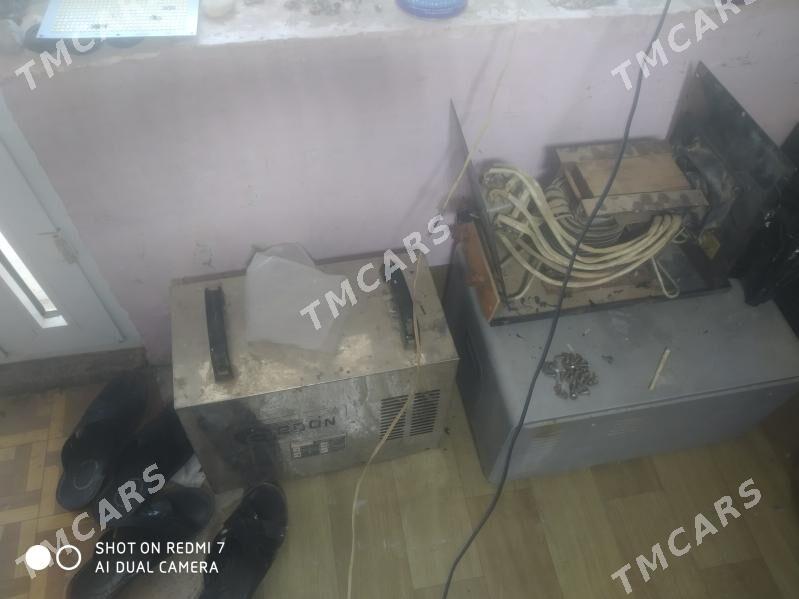 sywarka sarym edyas - Tejen - img 2