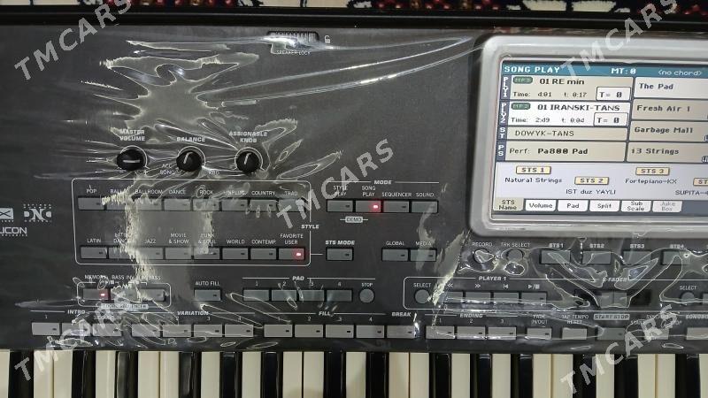korg pa3 xle - Mary - img 3