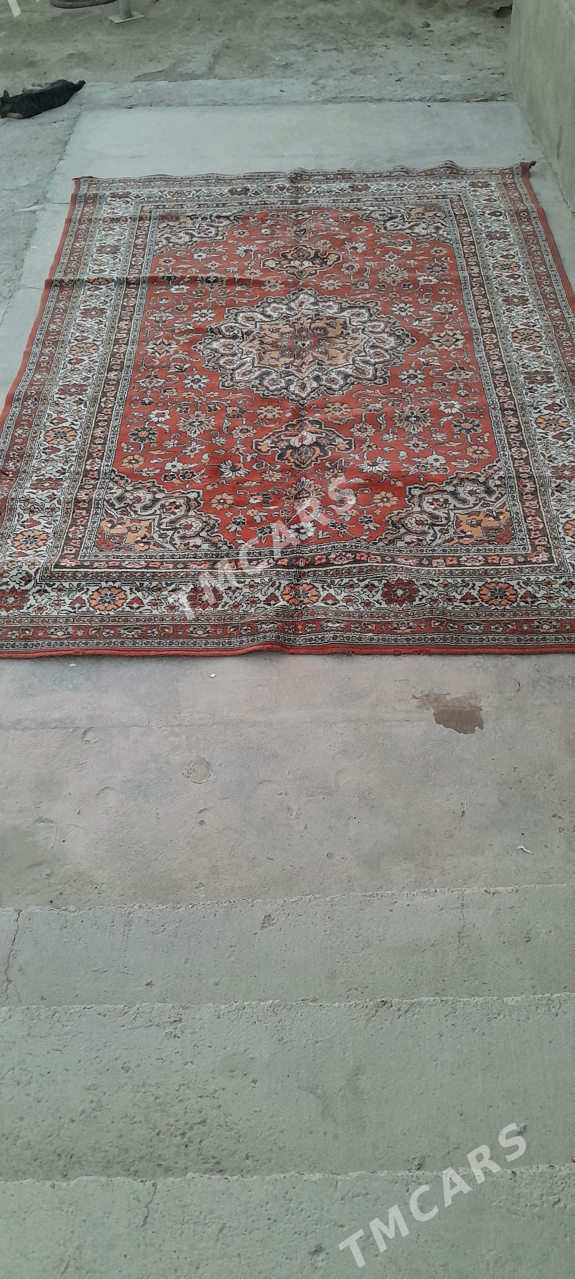 Halylar - Türkmenbaşy - img 2