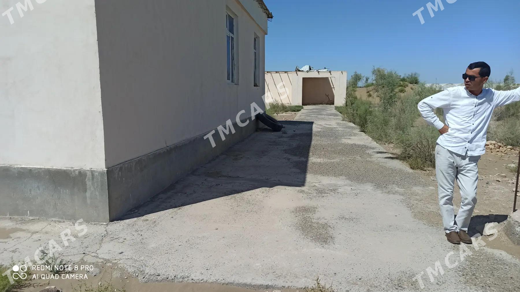 azatlyk pasyolyk - Türkmenabat - img 5