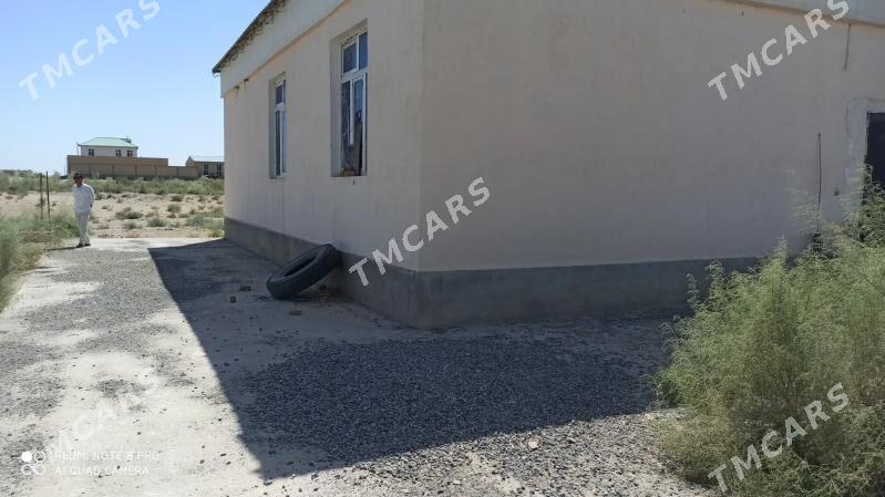azatlyk pasyolyk - Türkmenabat - img 8