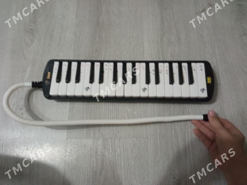 Игрушка Пионина - Türkmenabat - img 3