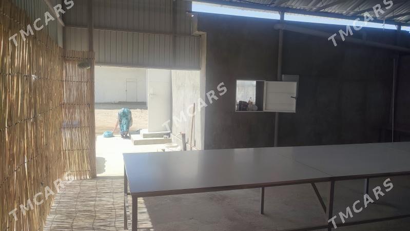 tamdyrda çörek bişirýän gerek - Байрамали - img 2