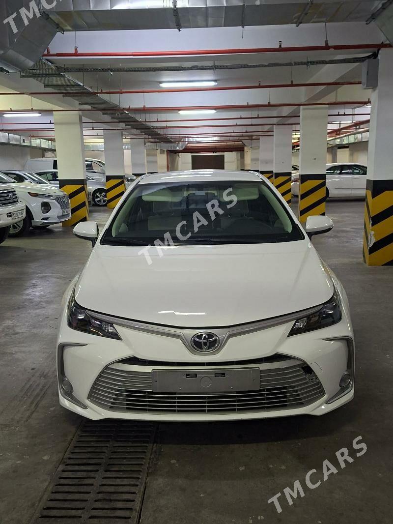 Toyota Corolla 2023 - 285 000 TMT - 15-nji tapgyr - img 2