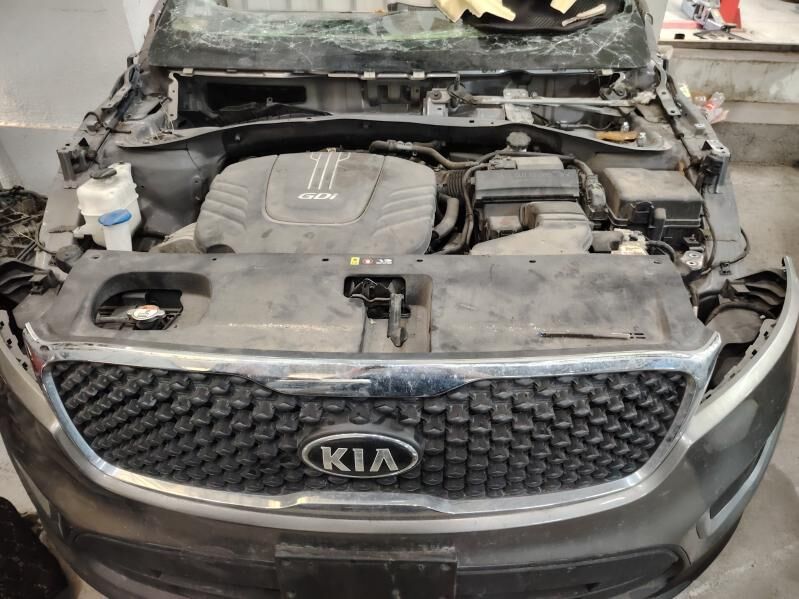 MORDA SORENTO 1 000 TMT - Garadamak Şor - img 3