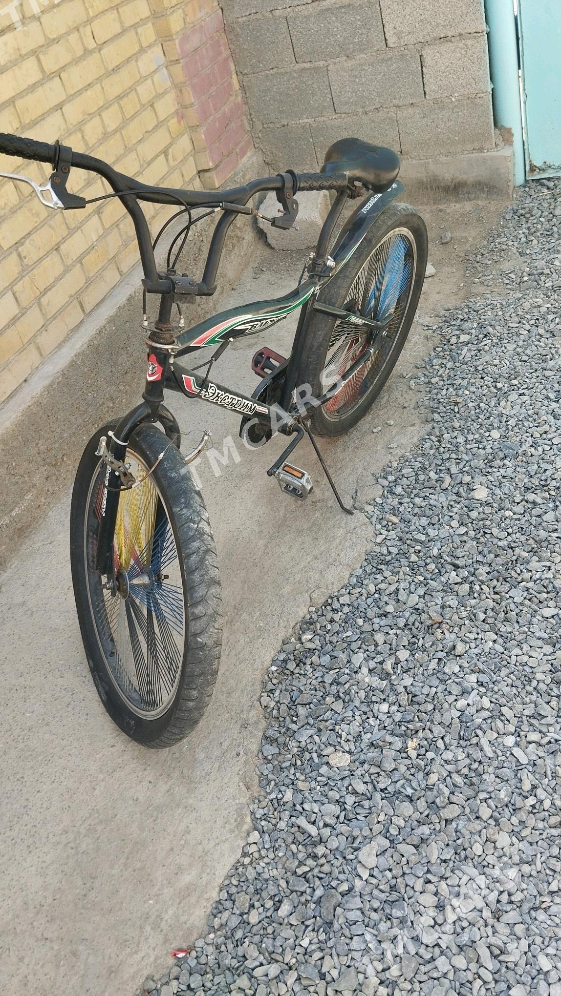 tigir duga ulsi abmen geçi bil - Bäherden - img 2