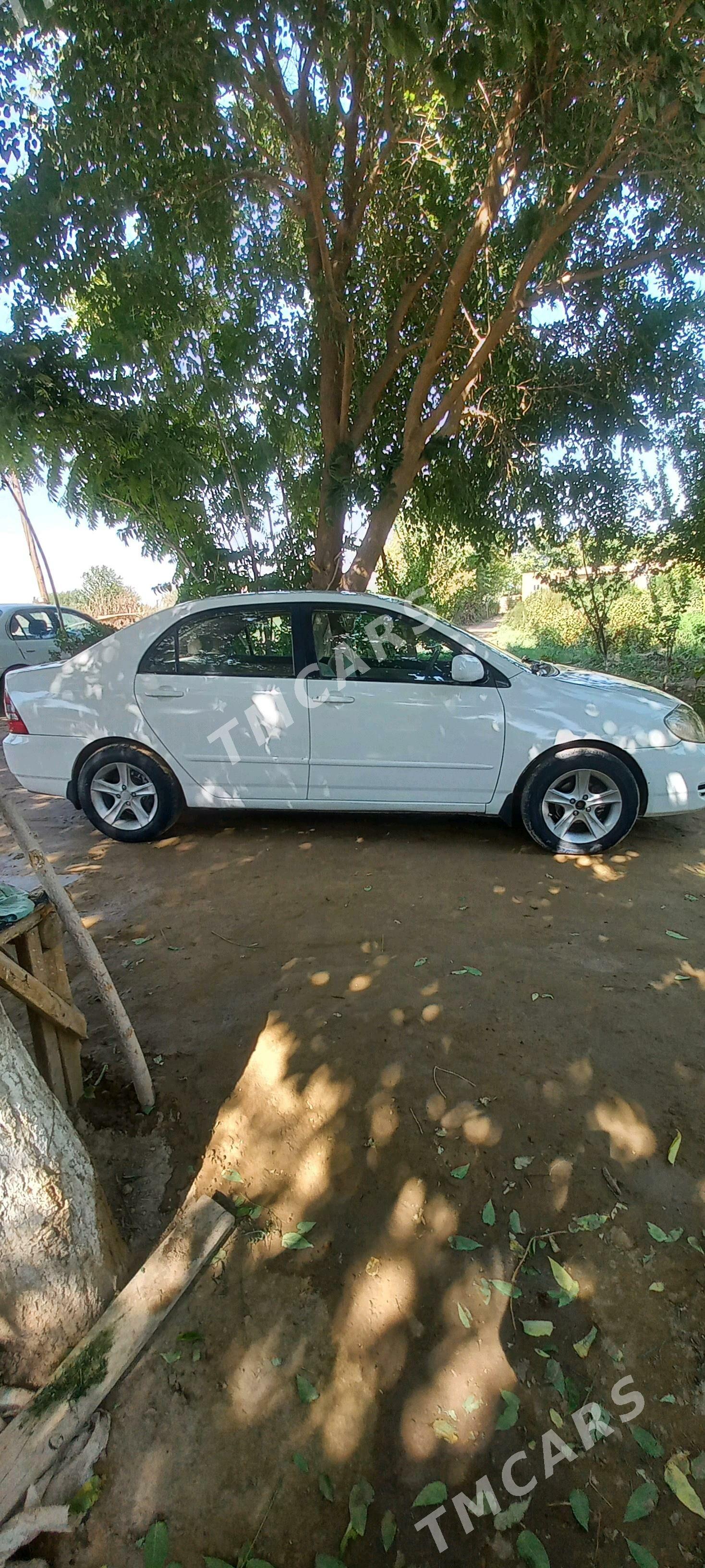 Toyota Corolla 2002 - 87 000 TMT - Türkmengala - img 3