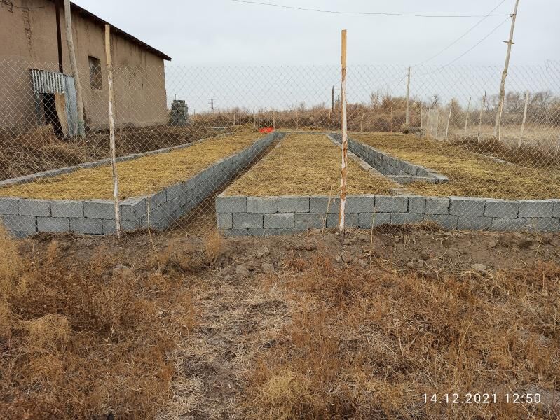 Kaliforniýa gurçuk Biogumus - Gubadag - img 2