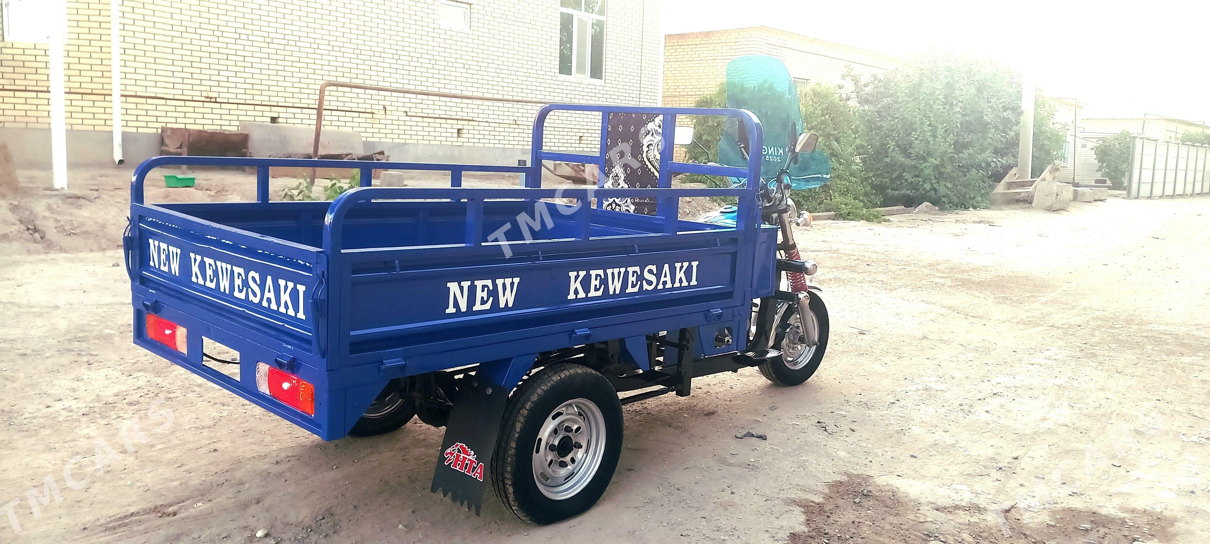 Fekon FK200-14G 2014 - 20 000 TMT - Sakarçäge - img 5