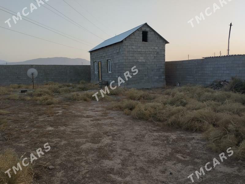 Talhani - Gökdepe - img 3