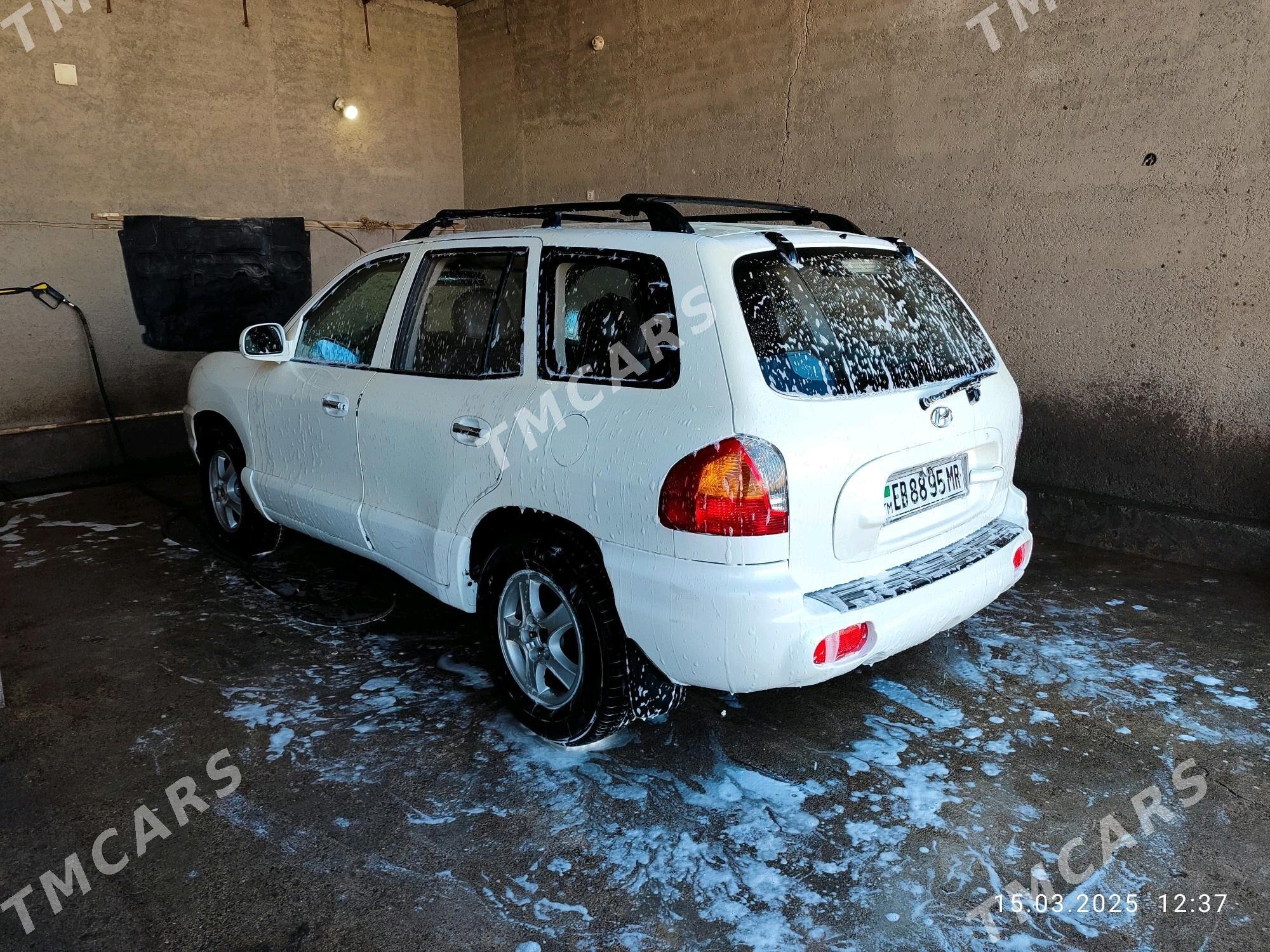 Hyundai Santa Fe 2002 - 57 000 TMT - Mary - img 2