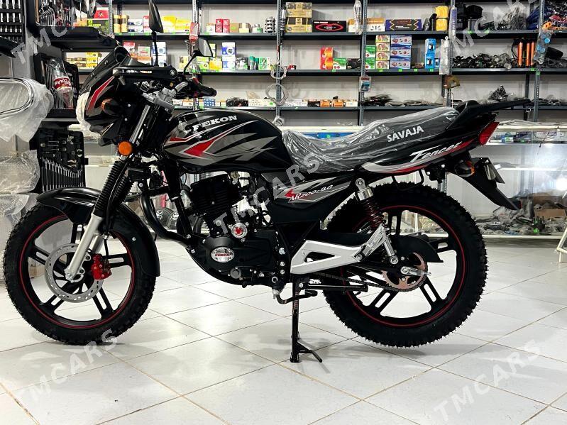 Fekon FK200-14G 2021 - 19 000 TMT - Гумдаг - img 3