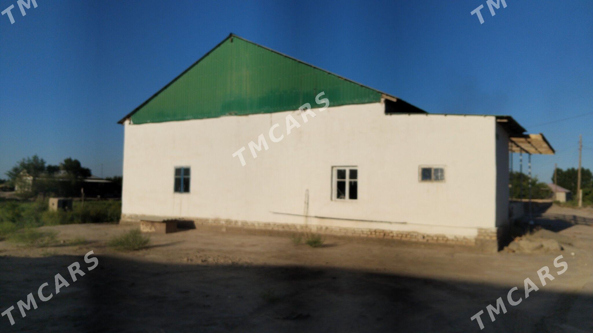 jay satilyar - Дашогуз - img 6