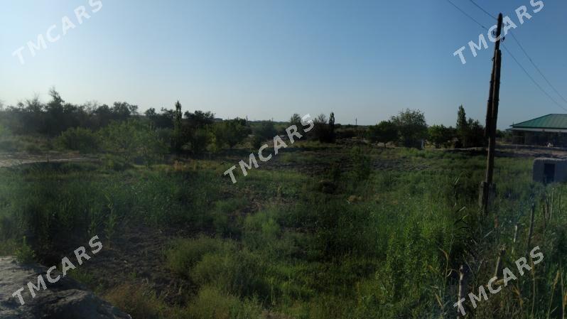 jay satilyar - Дашогуз - img 5