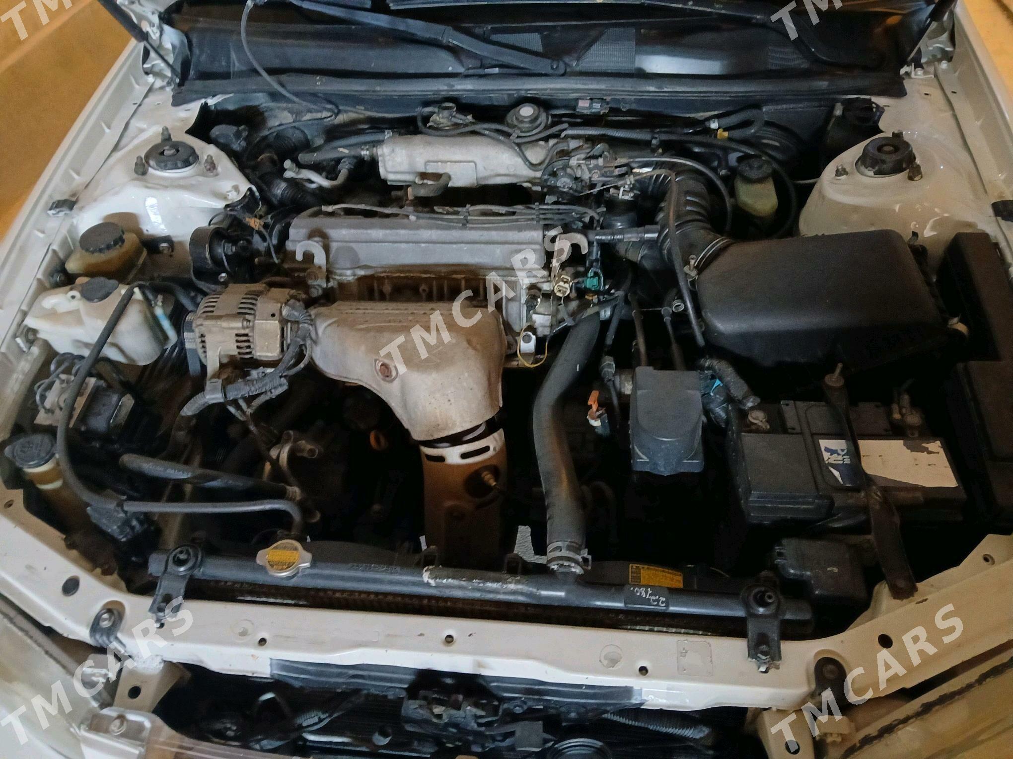 Toyota Camry 2000 - 130 000 TMT - Akdepe - img 4