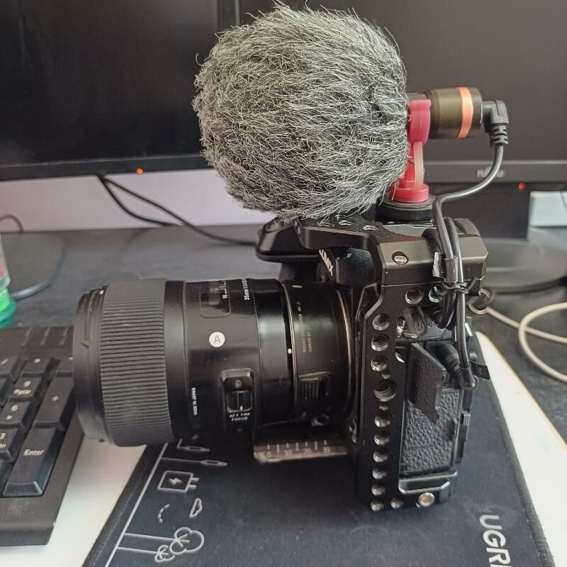 Panasonic Lumix S-1 - 11 мкр - img 9