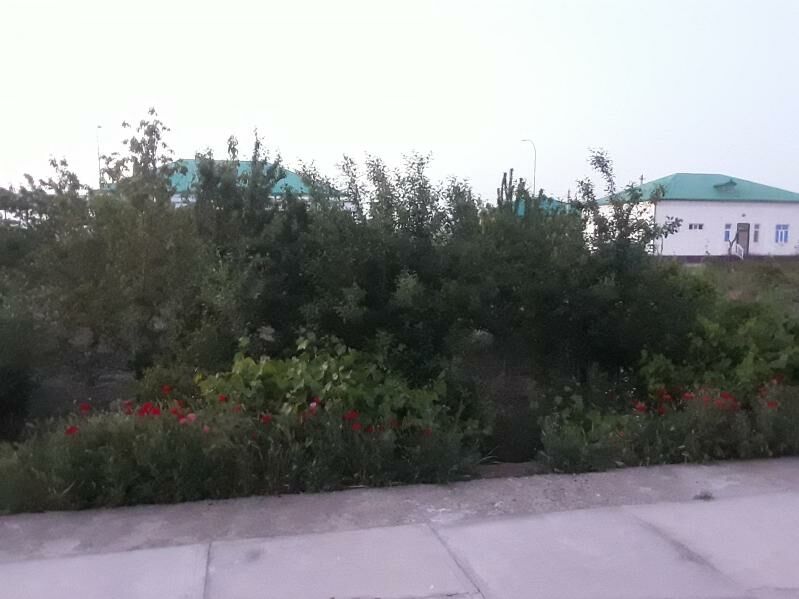 Алтынсахра сатлык жай - Огуз хан - img 9