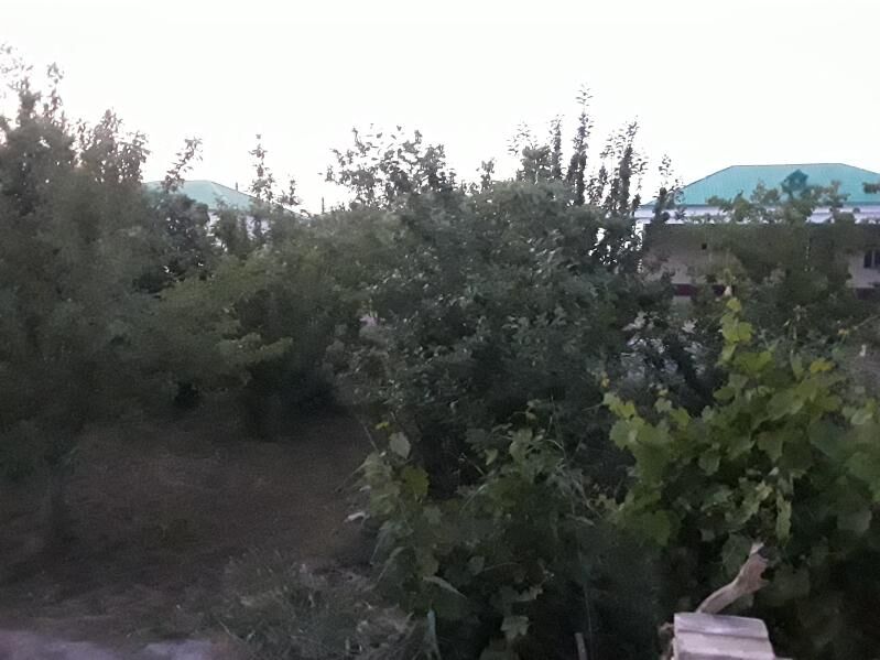 Алтынсахра сатлык жай - Огуз хан - img 10